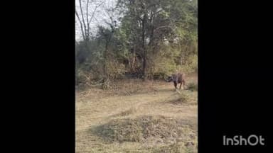 आलोट: पीपल खेड़ी में रास्ता रोककर किशोर के साथ मारपीट