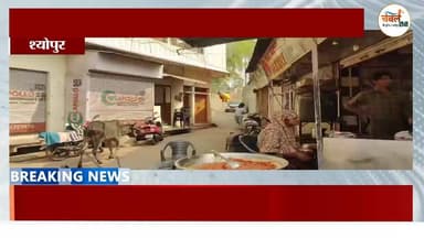 श्योपुर: एनएसयूआई श्योपुर का जोरदार प्रदर्शन, युवा मोर्चा का पुतला फूंका | ChambalTV
#श्योपुर #sheopur #चंबलटीवी #Jan...