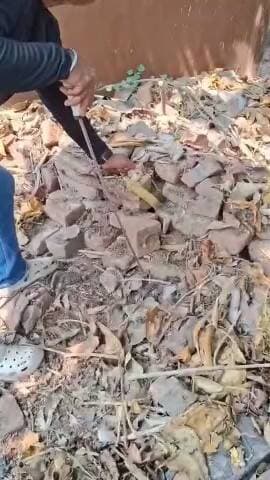 ପୁରୀ ମ୍ୟୁନିସିପାଲଟି: ପୁରୀ ପାନ୍ଥନିବାସ ନିକଟରୁ ନାଗନାଗୁଣୀ ଉଦ୍ଧାର। ନାଗର ଲମ୍ବ ପ୍ରାୟ ୪ ଫୁଟ ୫ ଇଞ୍ଚ ଥିବା ବେଳେ ନାଗୁଣିର ଲମ୍ବ ପ୍ରାୟ ୫ଫୁଟ ରହିଛି