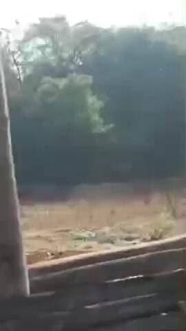 पखांजूर: कांकेर-नारायणपुर सीमा पर प्रेशर कुकर आईईडी बरामद, बड़ा हादसा टला