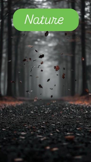 Eco Friendly Today, Better Tomorrow ।। #nature #justclick #tapimitraofficial #socialmedia #naturelover પ્રકૃતિ – આપણું સ...