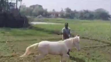 अगिआंव: बड़गांव में प्याज के खेत में घोड़ा दौड़ाने का विरोध पड़ा महंगा, दबंगों ने लाठी-डंडे व लोहे की रॉड से पीटकर किया जख्मी