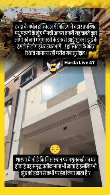 हरदा के बघेल हॉस्पिटल में बिल्डिंग में बहार उपस्थित मधुमक्खी के झुंड में मची अफरा तफरी राह चलते कुछ लोगों को लगे मधुमक्ख...