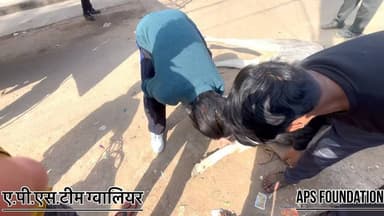 गौ माता की जा रही है जान नगर निगम की बड़ी लापरवाही..!
Respect Girls help poor help animals
#apsgurjar #viral #support #gwalior