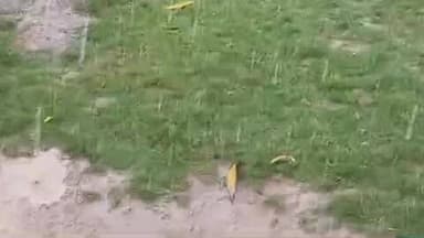 सरमथुरा धौलपुर राजस्थान समाचार नेशन तहसील रिपोर्टर सरमथुरा आज का मौसम तूफान ओले संभावना ज्यादा है फसलों नुकसान है