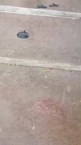 📅 23_02_2024
ग्राम वमनपुरा में भारी बारिश और गर्जात्त हुई