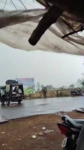आज फिर से हल्की-फुल्की झमाझम बारिश तो हुई जिससे भारी नुकसान बताया जा रहा है मसूर की पटाई के बीच में कुछ देर के लिए कामr
