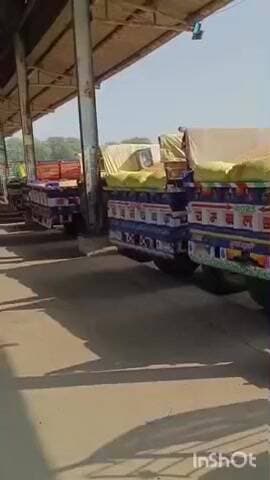 छबड़ा: छबड़ा कृषि उपज मंडी में जींस की नीलामी के लिए पहुंचे किसान