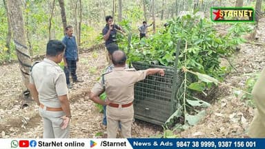 കടുവയുടെ സാന്നിധ്യം ഉണ്ടായ മംഗലാം ഓടംതോട്ടിൽ കൂട് സ്ഥാപിച്ചു
വാട്സ്ആപ്പ് ഗ്രൂപ്പില് അംഗമാകുവാന്...👇🏻
https://chat.wh...