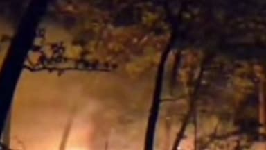 ତେଲକୋଇ: କେନ୍ଦୁଝର ବନଖଣ୍ଡ ତେଲକୋଇ ବନାଞ୍ଚଳରେ ନିଆଁ, ବନ ବିଭାଗ ପକ୍ଷରୁ ନିଆଁଲିଭା କାର୍ଯ୍ୟଯାରୀ