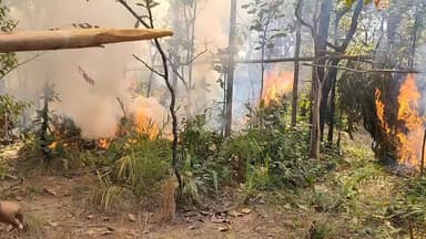 ଲକ୍ଷାଧିକ ଗଂଜେଇ ନଷ୍ଟ କଳା ଜବତ କଳା