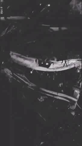 नूरपुर मुरादाबाद हाईवे पर दौलतपुर नहर के पास मुरादाबाद की ओर से आ रही स्विफट डिजायर कार ट्रक में घुसी।