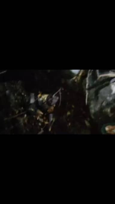 झारखंड में विमान हादसा... सात लोगों की मृत्यु का पुष्टि
रांची से दिल्ली के लिए उड़ान भरने वाली रेड बर्ड एविएशन की निजी ...