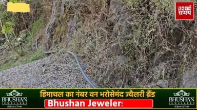 सोलन शहर के आंजी में सप्लाई हो रहा है नाले का पानी
हिमाचल समय - Himachal Samay Media #educationalcontent #hpgovt #vikrma...