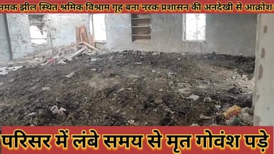 #लंबे_समय_से_मृत_पड़े_गोवंश_नमक_झील_स्थित_श्रमिक #विश्राम_गृह_बना_नरक_प्रशासन_की_अनदेखी_से_आक्रोश
#lambe #samay #se #mr...