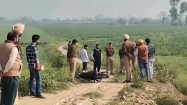 ਤਰਨਤਾਰਨ: ਤਰਨਤਾਰਨ 'ਚ ਪੁਲਿਸ ਐਨਕਾਊਂਟਰ: ਪਿੰਡ ਜੱਲੋਕੇ ਨੇੜੇ ਚੱਲੀਆਂ ਗੋਲੀਆਂ, ਪਿਸਤੌਲਾਂ ਸਣੇ ਦੋ ਬਦਮਾਸ਼ ਕਾਬੂ