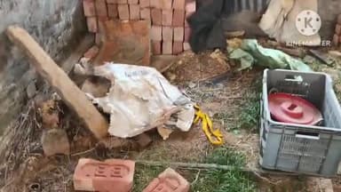 তেলিয়ামুড়া: রাস্তার কাজে ব্যবহৃত ইট চুরি করে নিয়ে যায় উত্তর ব্রহ্মছড়ার ১ নং ওয়ার্ডের প্রাক্তন সিপিআইএমের মেম্বার