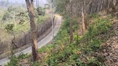 কৈলাশহর: কৈলাসহর মূর্তিছড়া এলাকার BJP দলের এক কর্মের রাবার বাগানে আগুন ধরিয়ে দেয় বাংলাদেশি দুষ্কৃতীরা