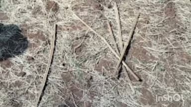 खमरौध में करंट से 37 वर्षीय नंदलाल पंडो की मौत, बचाने गए युवक हुए घायल