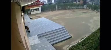 #गाजियाबाद एक स्कूल में घुसा तेंदुआ
गोविंदपुरम स्थित ग्रीन फील्ड स्कूल में तेंदुआ घुसने से हड़कंप मच गया।
एहतियातन स्क...