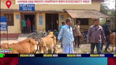 বীরভূমের ময়ূরেশ্বর দুই নম্বর সমষ্টি প্রাণিসম্পদ উন্নয়ন দপ্তর থেকে শংকর বকনা প্রদান করা হয়। এলাকার মোট ১০ জনকে এই বকনা...