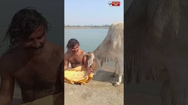 #yog #योग #hardatwork #viralvídeos #narmda #yoga #indians #वायरल #namrda