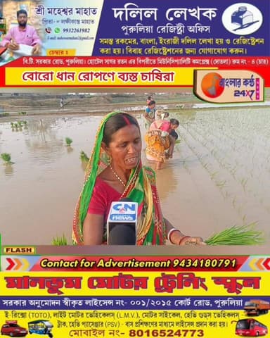 বোরো ধান রোপণে ব্যস্ত পুরুলিয়ার কৃষকেরা
