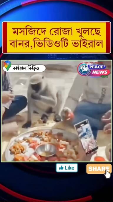 মসজিদে রোজা খুলছে বানর - ভিড়িও ভাইরাল ।
ভিডিওটি ঝড় তুলেছে সোশ্যাল মিডিয়ায়
