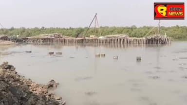 ম্যানগ্রোভ ধ্বংস করে তৈরি হচ্ছে মৎস্য বন্দর, ক্ষোভে ফুঁসছে নামখানার হরিপুর