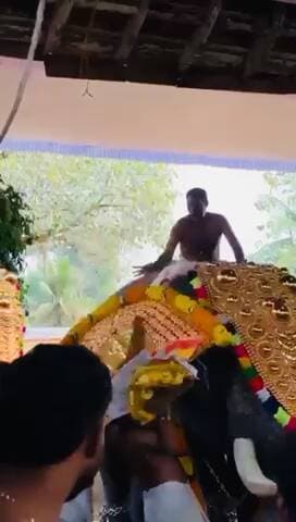 #केरल के त्रिशूर मंदिर में हाथी के हमले में युवक गंभीर रूप से घायल, महावतों ने हाथी को काबू किया