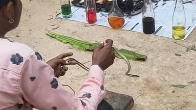 लोग पेट के लिए क्या-क्या कर लेते हैं #ihqpublicindia फॉलो करें और कोशिश करेंगे कि कुछ नए-नए खबर आपको दिखाते रहे.