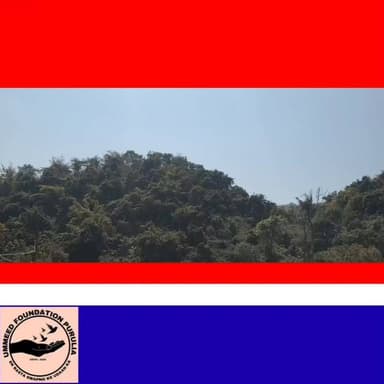 ঘন জঙ্গলের মাঝে সুফি সাই বাবার মাজারে জন সমাগম