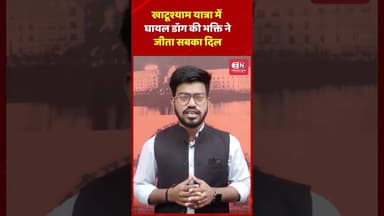 खाटूश्याम यात्रा में घायल डॉग की भक्ति ने जीता सबका दिल #khatushyam #dog #devotional #shorts #viral