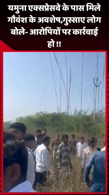 गौतम बुद्ध नगर: यमुना एक्सप्रेसवे के पास मिले गौवंश के अवशेष, गुस्साए लोगों ने आरोपियों पर कार्रवाई की मांग की