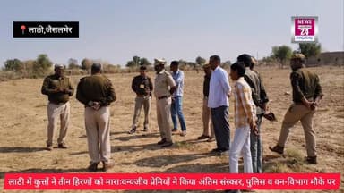 #jaisalmer #लाठी में कुत्तों ने तीन हिरणों को माराःवन्यजीव प्रेमियों ने किया अंतिम संस्कार, पुलिस व वन-विभाग मौके पर
Ja...