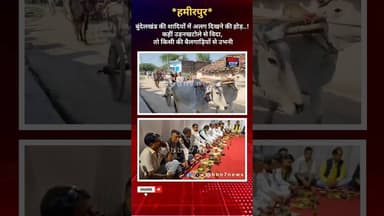 हमीरपुर :- दूल्हा 25 बैलगाड़ियों से बारात लेकर पहुंचा, #short #news #shortnews