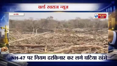 रेलवे विभाग ने काट दिया हरे-भरे पेड़ #कन्नौद #kannod #हरदा_मध्यप्रदेश