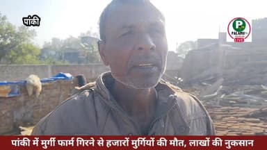 #पांकी: मुर्गी फार्म गिरने से हजारों मुर्गियों की मौत, लाखों की नुकसान।
सहयोग की मांग।