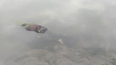 अमृतपुर: डबरी के पास रामगंगा नदी में मिला अज्ञात शव, सूचना पर पुलिस पहुंची, पंचनामा की कार्रवाई कर पोस्टमार्टम के लिए भेजा