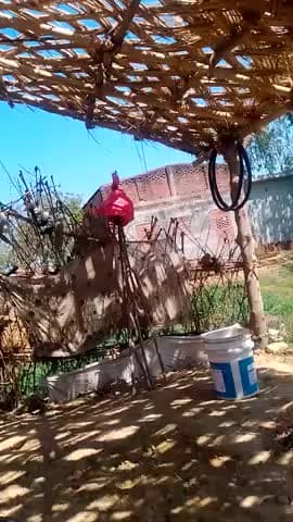 Barabanki Rajendra pal ko aawas nahin diya ja raha hai isliye kuchh bhi kar sakte hain sunvaee Kar lijiye sar aapse hi n