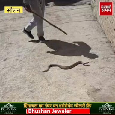 घर के आंगन में घूम रहा था जहरीला सांप, पंजाबी खान की टीम ने किया रेस्क्यू
हिमाचल समय - Himachal Samay Media #educational...