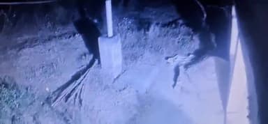 koda me motor pump chori ka cctv footage video