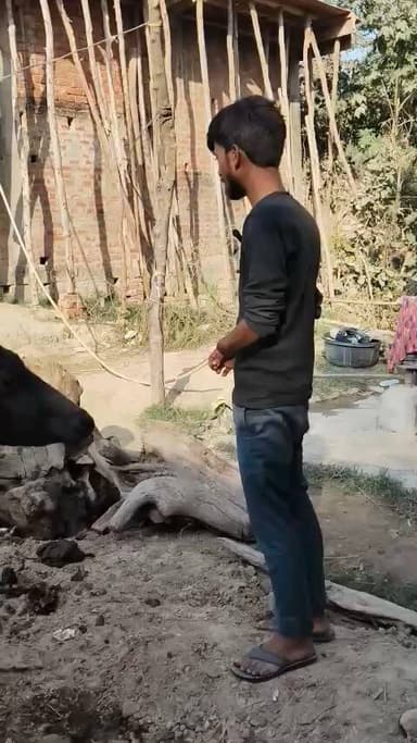 ek viklang ki koi nhi sunavai ho rhi @hai ham kya kre bolo mar jaye #nonfollowers #trendinge #foryou #viralvideo