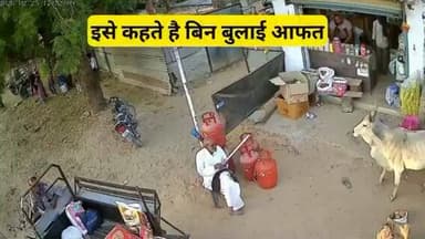 दुकान के बाहर बैठे एक बुजुर्ग व्यक्ति को सांड ने रौंदा
#गुजरात के कच्छ का मामला