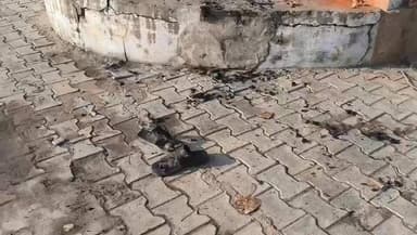 #अलीगढ व्यक्ति पुलिस चौकी मे खुद पर पेट्रोल डालकर लगा ली। घटना से पुलिस चौकी में हड़कंप मच गया । मौके पर मौजूद पुलिसकर...