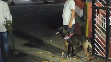 ସମ୍ବଲପୁର କୋର୍ଟକୁ ପୁଣି ଧମକ
-ବୋମାରେ ଉଡାଇ ଦେବାକୁ ଧମକ ଆସିଥିବା ସୂଚନା