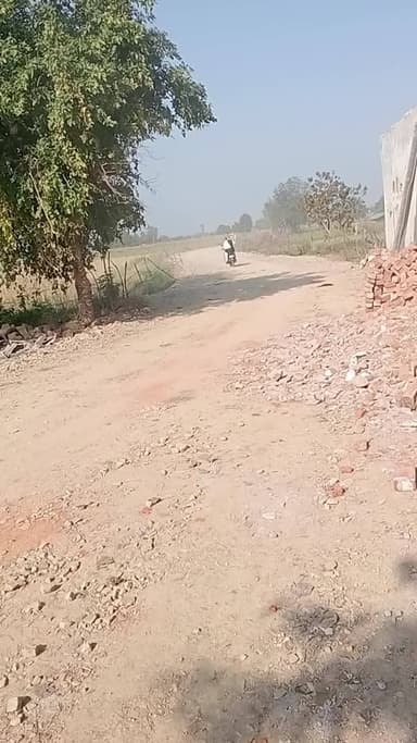 मुरैना जिले के ग्राम पंचायत केसरोली और ग्राम बढ़ाना में 1 साल से लोक निर्माण विभाग द्वारा सड़क नहीं डाली गई है काफी