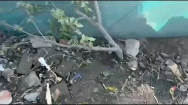 जगाधरी: यमुनानगर-जगाधरी मार्ग पर डंपर चालक ने पेड़ और बिजली का खंभा तोड़ा, नुकसान