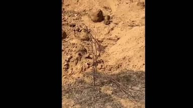 भुसावर: भरतपुर क्षेत्र में चरागाह भूमि में दबा मिला युवक का शव, हाथ पर लिखा था 'पवन खेड़ली'