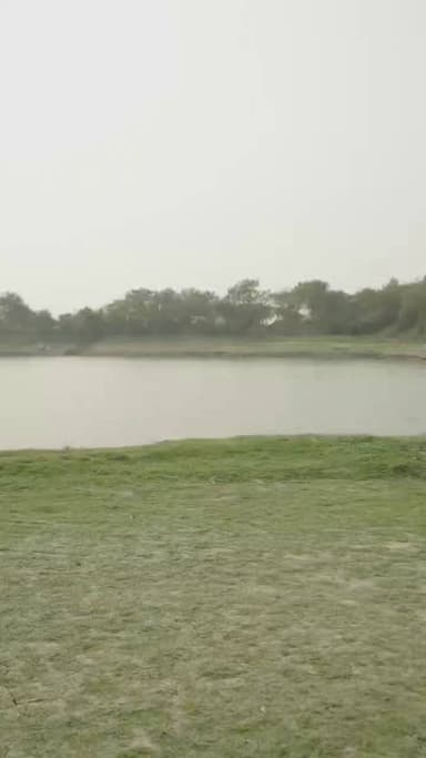 ચૂકો શુભ શરૂઆતનો માત્ર ₹1 અને લઈને જાઓ તમારી સપનાની બાઈક! 5 લિટર પેટ્રોલ બિલકુલ ફ્રી — લક્ષમ હોન્ડા, રાજપીપળા હોળી સ્પેશિયલ ઓફર!📞 7984017496